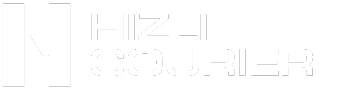 hizlicourier.com